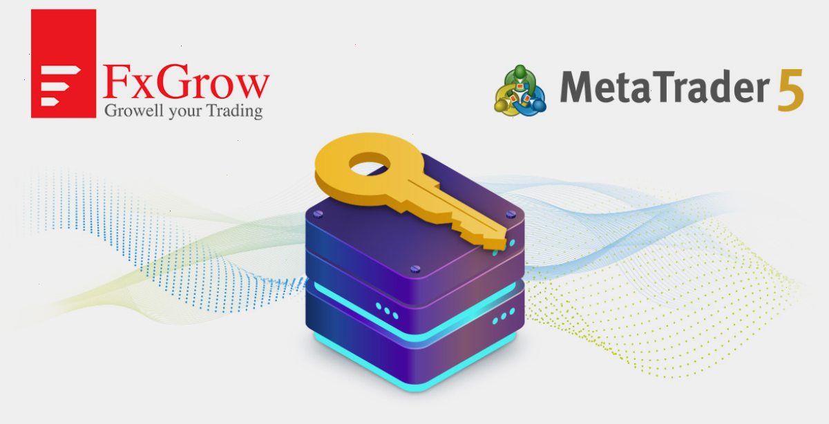 FxGrow Limited: “MetaTrader 5访问服务器主机服务拥有其他提供商无法比拟的优势”